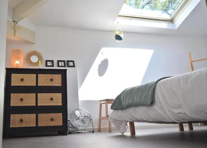 Julia Blue, Villa Hostal Naou Hossegor - Sauna - Salle De Sport - Wifi - Netflix