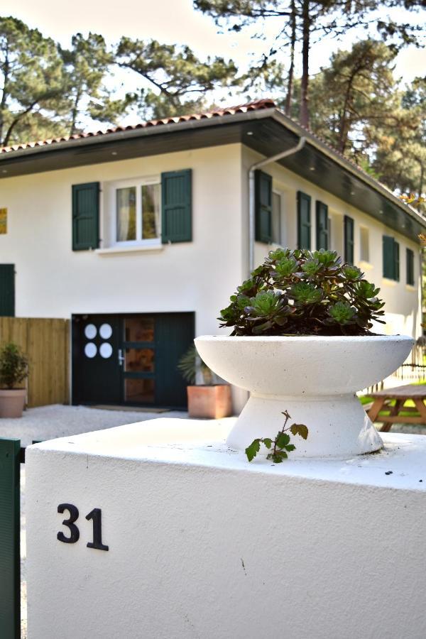 Apartment Julia Blue, Naou Hossegor - Sauna - Salle De Sport - Wifi - Netflix Soorts-Hossegor
