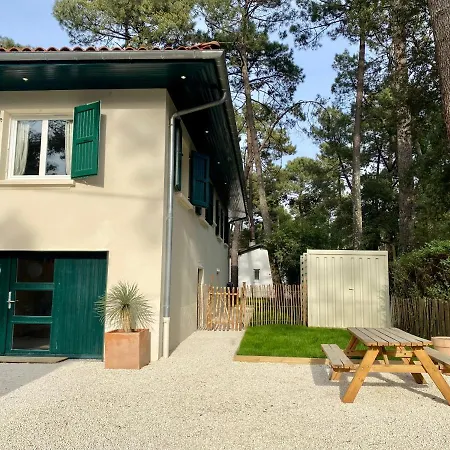 Julia Blue, Villa Hostal Naou Hossegor - Sauna - Salle De Sport - Wifi - Netflix Soorts-Hossegor Exterior photo